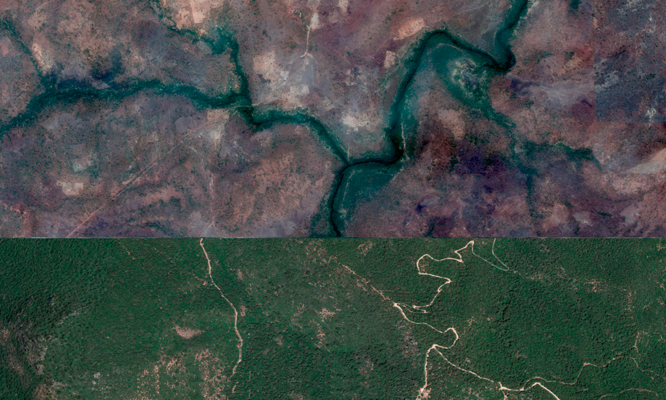 Home Giulia Spreafico